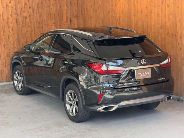 RX 300