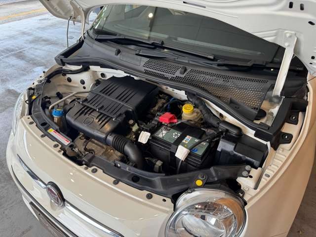 500(チンクエチェント) 1.2 カルト