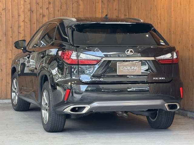 RX 300