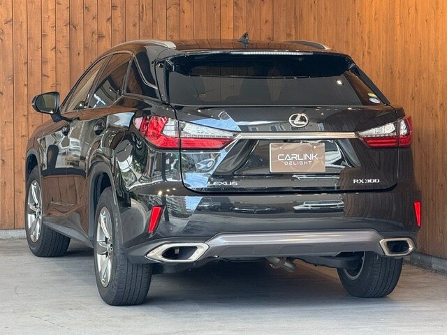 RX 300